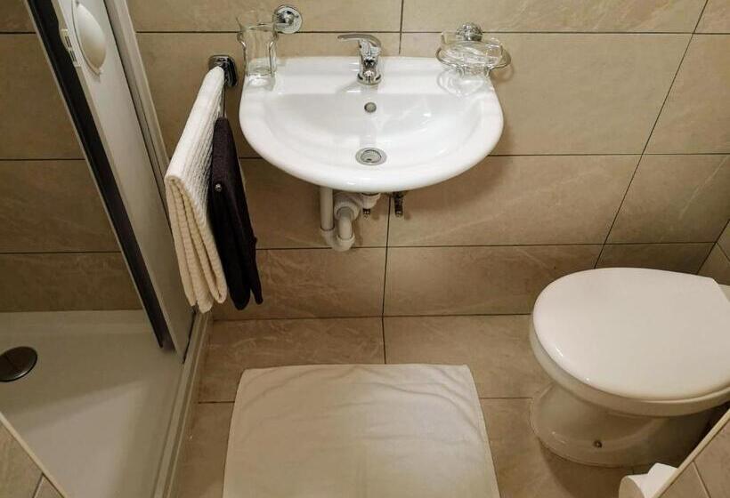 غرفة إقتصادية, Elvezia Self Check In