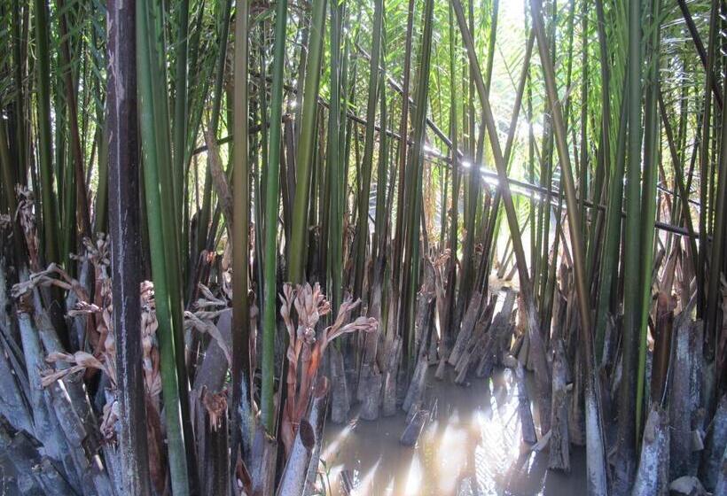 Standard Szoba King Size Bed, Homestay Xóm Dừa Nước