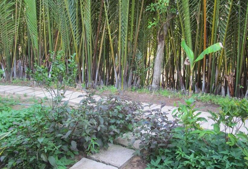 اتاق استاندارد, Homestay Xóm Dừa Nước