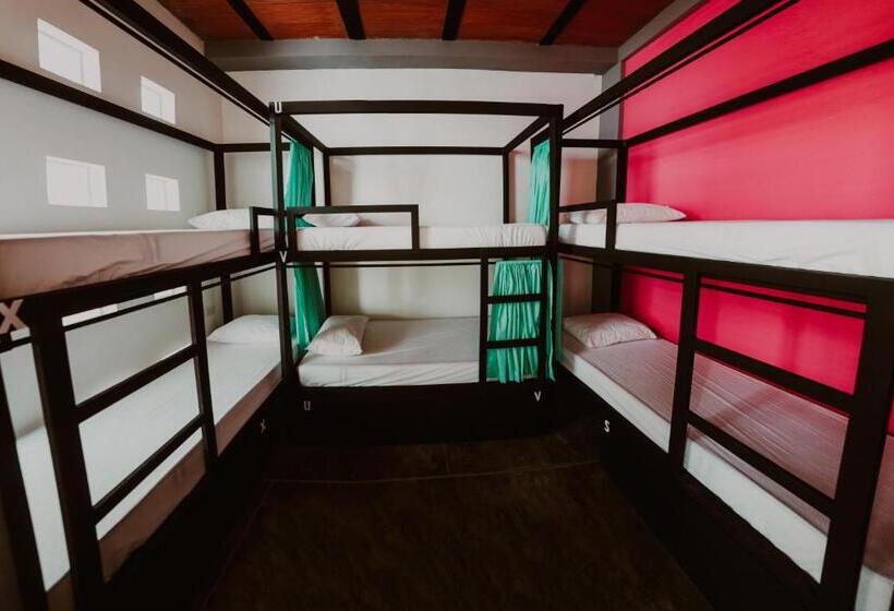 공동 객실, Imagine Hostel