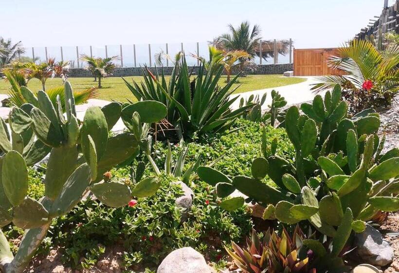 سوئیت با تخت بزرگ, Los Vientos De Vichayito