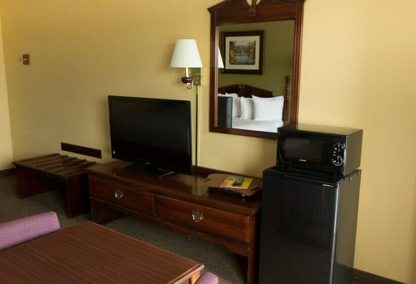 غرفة قياسية بالطابق الأرضى, Angel Inn  Central