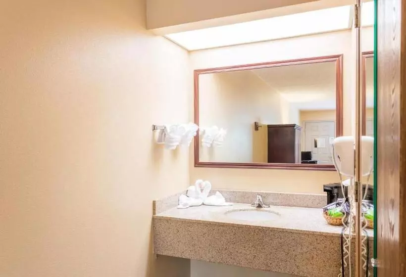 اتاق سوپریور در طبقه همکف, Angel Inn  Central