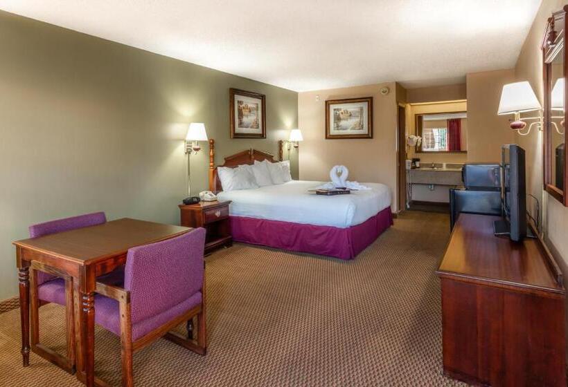 غرفة قياسية لذوى الاحتياجات الخاصة, Angel Inn  Central