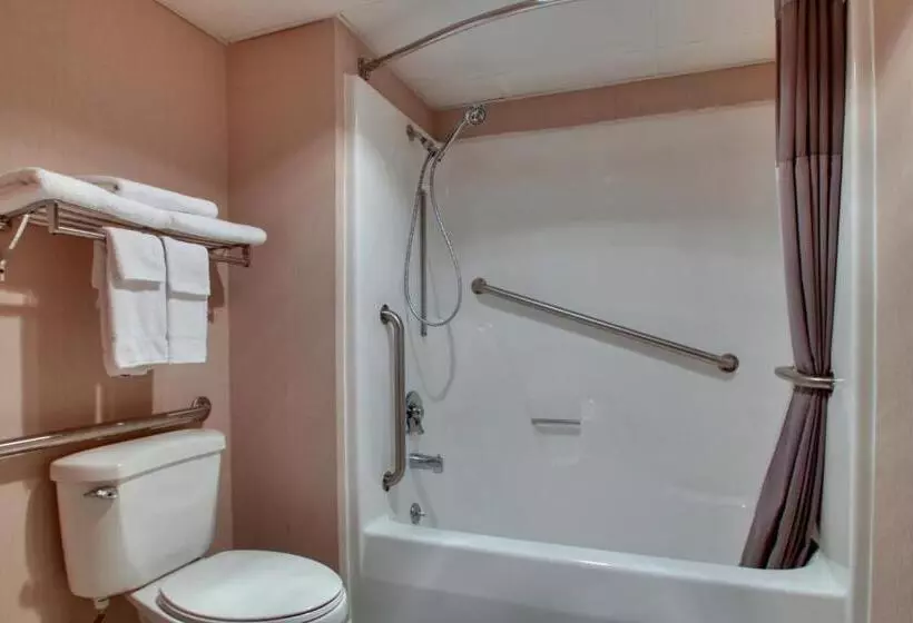 اتاق استاندارد برای معلولان, Angel Inn  Central
