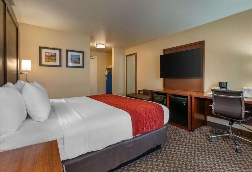 스탠다드 룸 킹사이즈 침대, Comfort Inn Fairfield Napa Valley Area