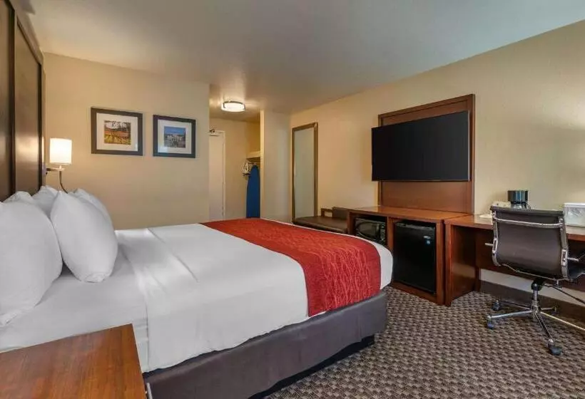 キングサイズベッドのスタンダードルーム, Comfort Inn Fairfield Napa Valley Area