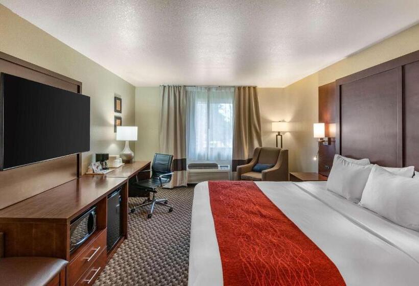 キングサイズベッドのスタンダードルーム, Comfort Inn Fairfield Napa Valley Area