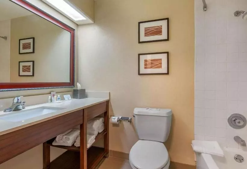 キングサイズベッドのスタンダードルーム, Comfort Inn Fairfield Napa Valley Area