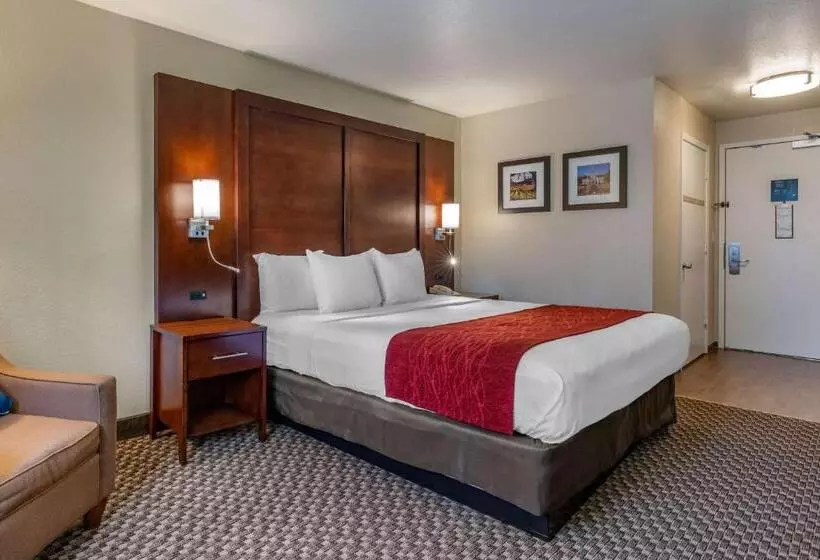 キングサイズベッドのスタンダードルーム, Comfort Inn Fairfield Napa Valley Area