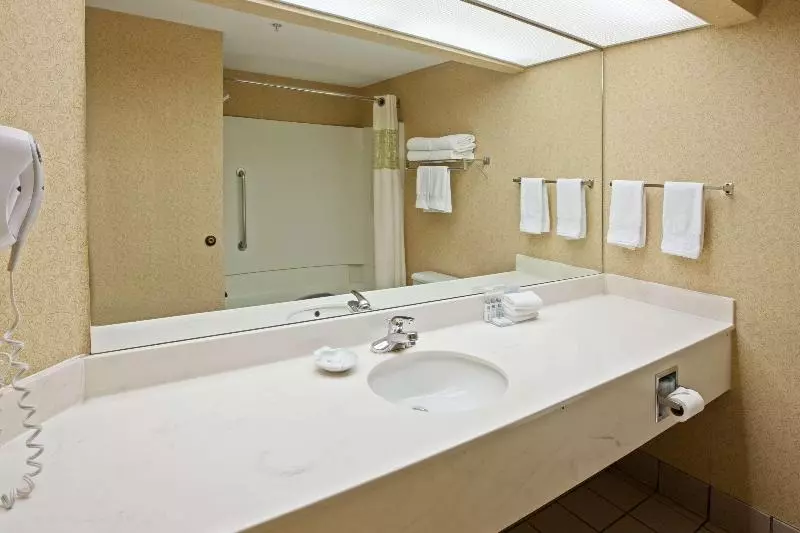 身障者適用キングサイズベッドルーム, Hampton Inn Chattanooga/hixson