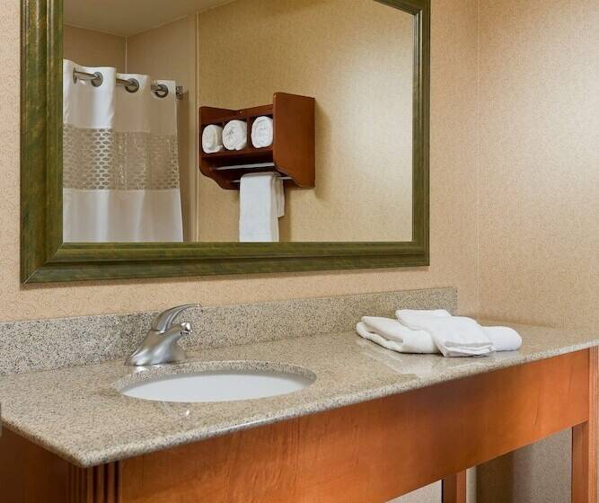 장애인을 위한 스탠다드 룸, Hampton Inn Chicago / Tinley Park