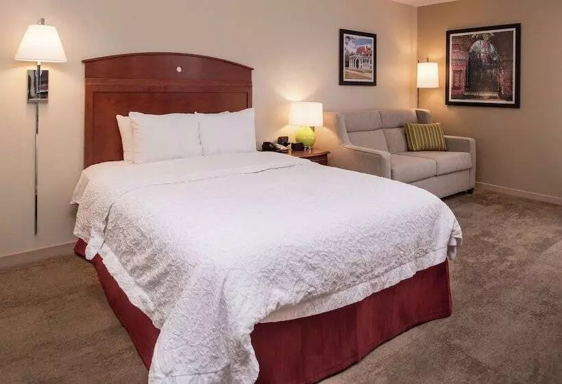 اتاق استاندارد با تخت دوبل برای معلولان, Hampton Inn Columbia Northeastfort Jackson Area
