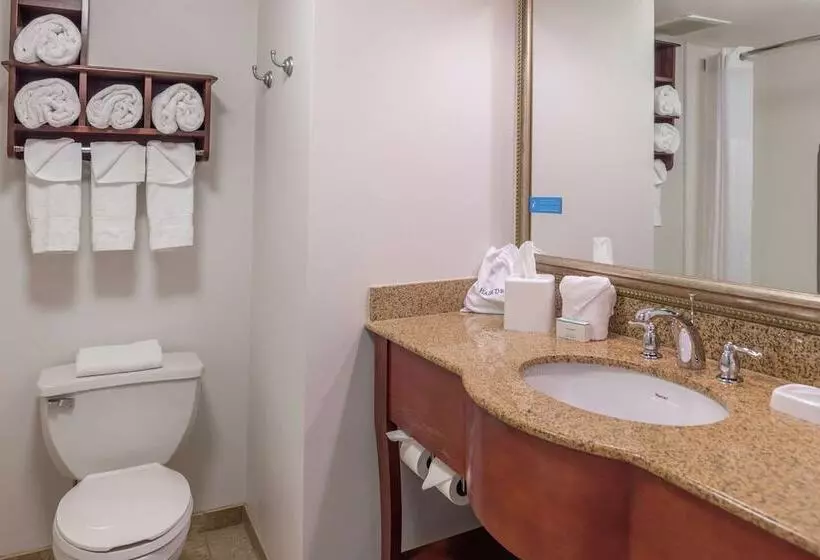 اتاق استاندارد با تخت دوبل, Hampton Inn Columbia Northeastfort Jackson Area