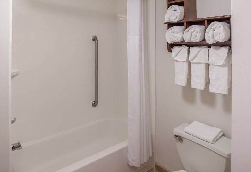 חדר סטנדרט מיטה זוגית, Hampton Inn Columbia Northeastfort Jackson Area
