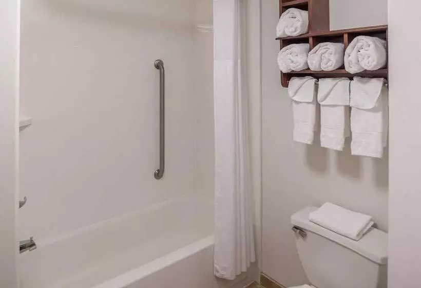اتاق استاندارد با تخت دوبل, Hampton Inn Columbia Northeastfort Jackson Area