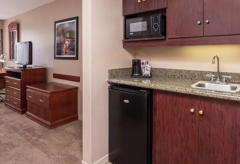 اتاق استاندارد با تخت دوبل, Hampton Inn Columbia Northeastfort Jackson Area