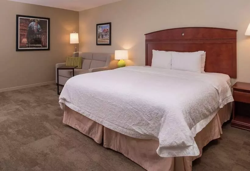 اتاق استاندارد با تخت دوبل, Hampton Inn Columbia Northeastfort Jackson Area
