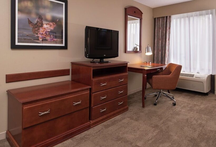 חדר סטנדרט מיטה זוגית, Hampton Inn Columbia Northeastfort Jackson Area