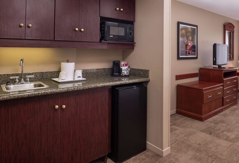 标准间带双人床, Hampton Inn Columbia Northeastfort Jackson Area