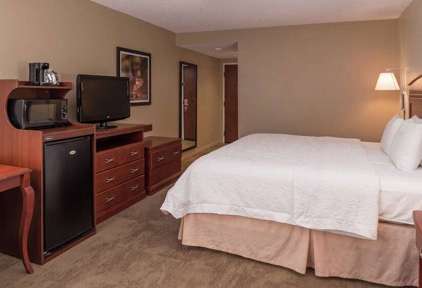 חדר סטנדרט מיטה זוגית, Hampton Inn Columbia Northeastfort Jackson Area
