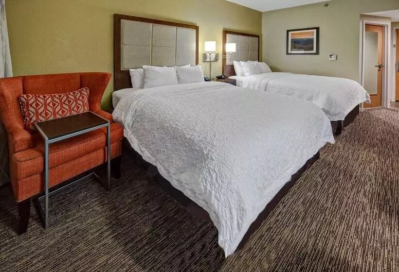 ２ダブルベッドのスタンダードルーム, Hampton Inn By Hilton Concord/kannapolis