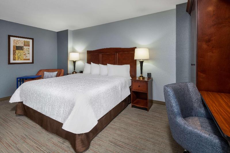 חדר סטנדרט עם מיטת קינג, Hampton Inn Denverinternational Airport