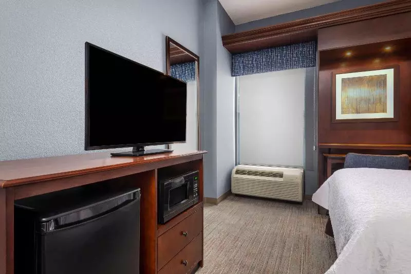 اتاق استاندارد با تخت بزرگ, Hampton Inn Denverinternational Airport