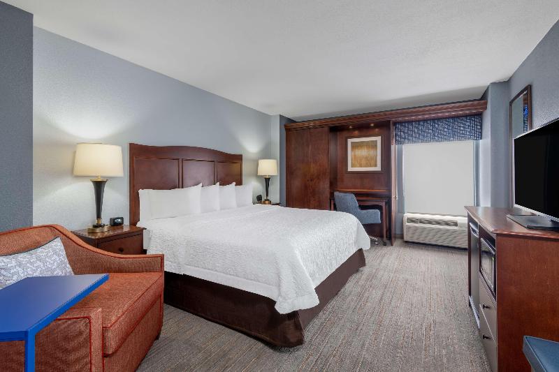 스탠다드 룸 킹사이즈 침대, Hampton Inn Denverinternational Airport