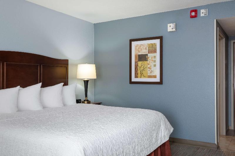 חדר סטנדרט עם מיטת קינג, Hampton Inn Denverinternational Airport