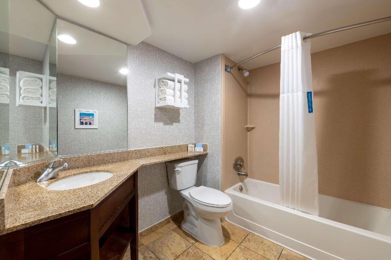 스탠다드 룸 킹사이즈 침대, Hampton Inn Denverinternational Airport