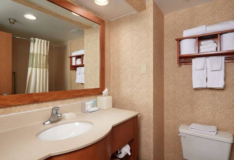 חדר סטנדרט, Hampton Inn Franklin