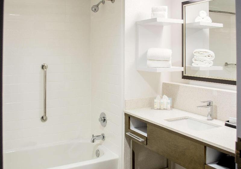 اتاق استاندارد با تخت بزرگ, Hampton Inn Houston I 10w Energy Corridor