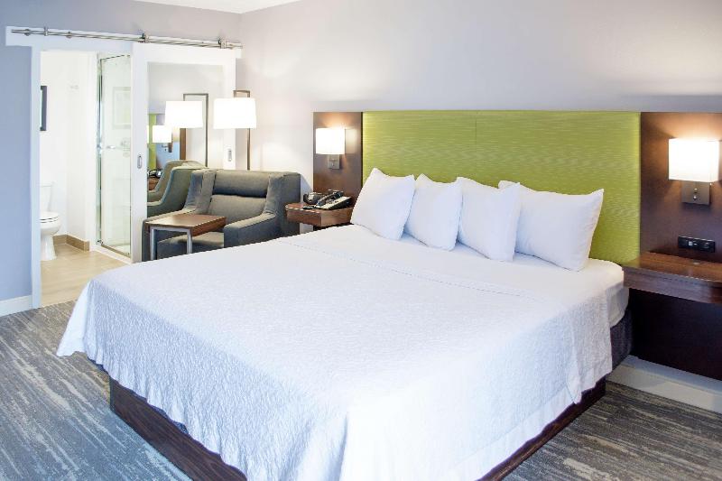 اتاق استاندارد با تخت بزرگ, Hampton Inn Houston I 10w Energy Corridor