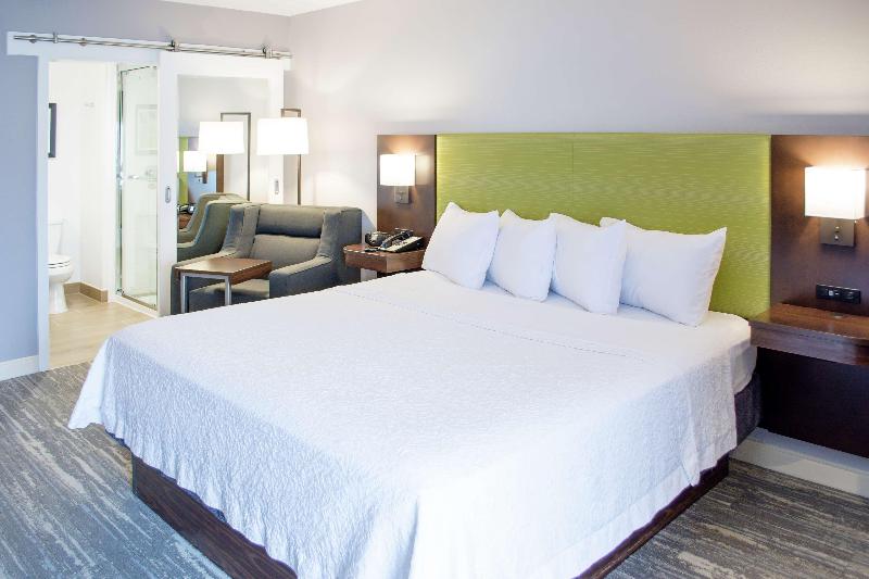 اتاق استاندارد با تخت بزرگ, Hampton Inn Houston I 10w Energy Corridor
