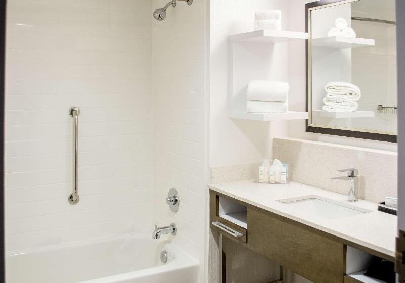 اتاق استاندارد با تخت بزرگ, Hampton Inn Houston I 10w Energy Corridor