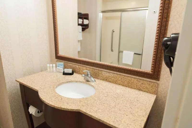 キングサイズベッドのスタンダードルーム, Hampton Inn North Platte