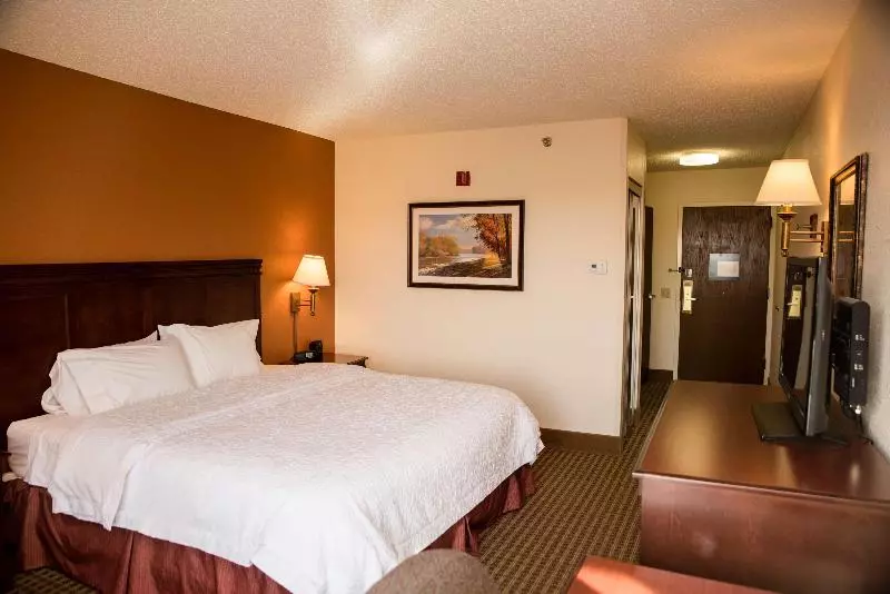 キングサイズベッドのスタンダードルーム, Hampton Inn North Platte