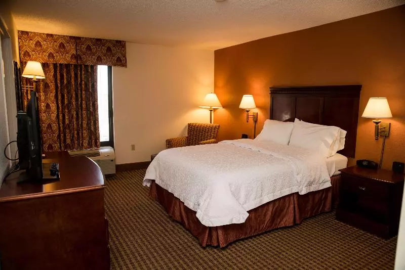 キングサイズベッドのスタンダードルーム, Hampton Inn North Platte
