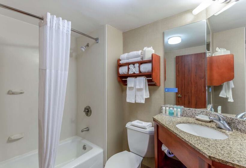 スイート, Hampton Inn Peoriaeast At The River Boat Crossing