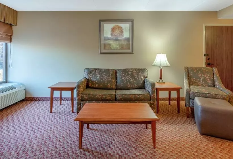 スイート, Hampton Inn Peoriaeast At The River Boat Crossing