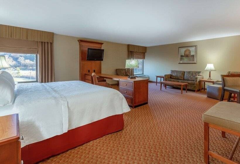 スイート, Hampton Inn Peoriaeast At The River Boat Crossing