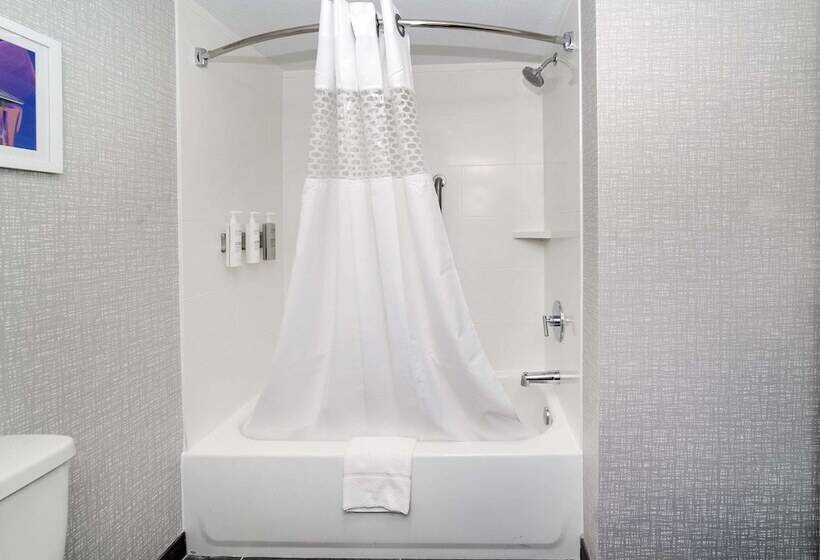 غرفة قياسية سرير مزدوج, Hampton Inn Port Charlotte