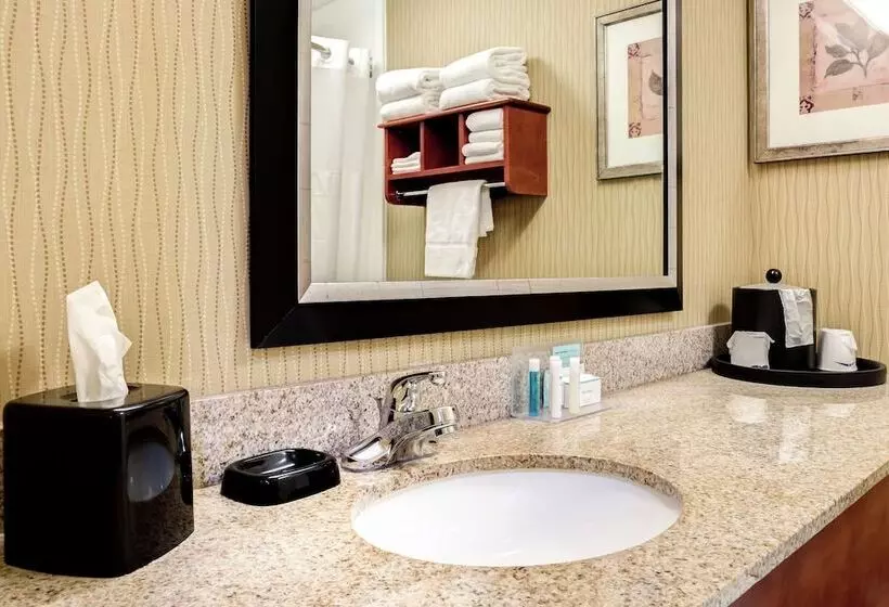 身障者適用スタンダードルーム, Hampton Inn St Joseph