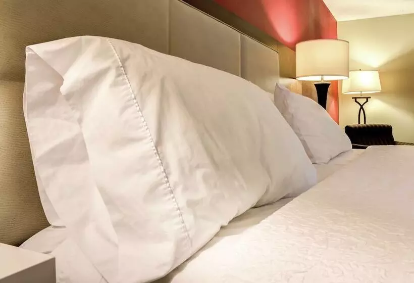 身障者適用スタンダードルーム, Hampton Inn St Joseph
