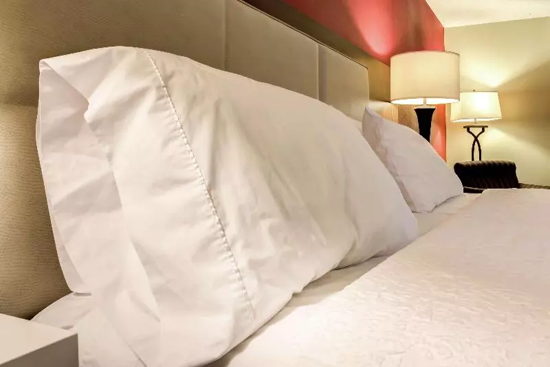 キングサイズベッドのスタンダードルーム, Hampton Inn St Joseph