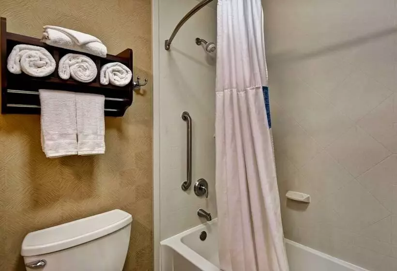 ２ダブルベッドのスタンダードルーム, Hampton Inn Starkville