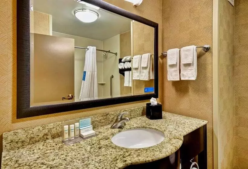２ダブルベッドのスタンダードルーム, Hampton Inn Starkville