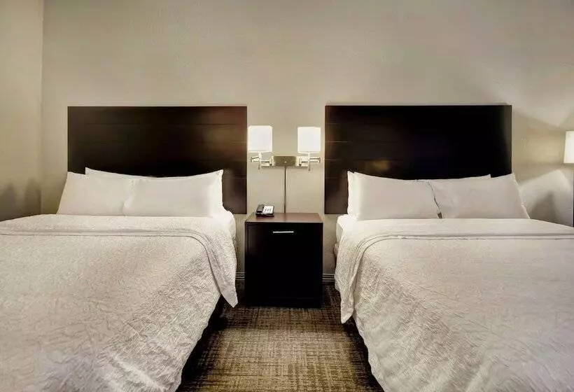 ２ダブルベッドのスタンダードルーム, Hampton Inn Starkville