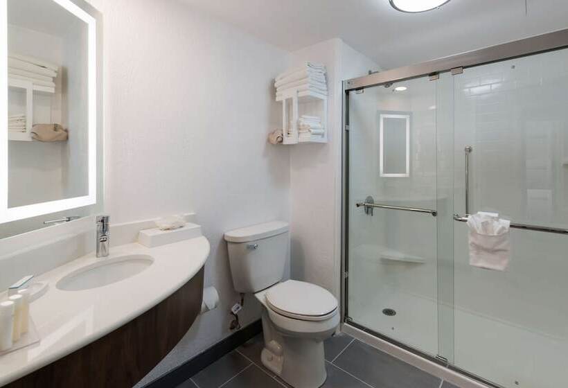 جناح, Hampton Inn & Suites Chicago/hoffman Estates